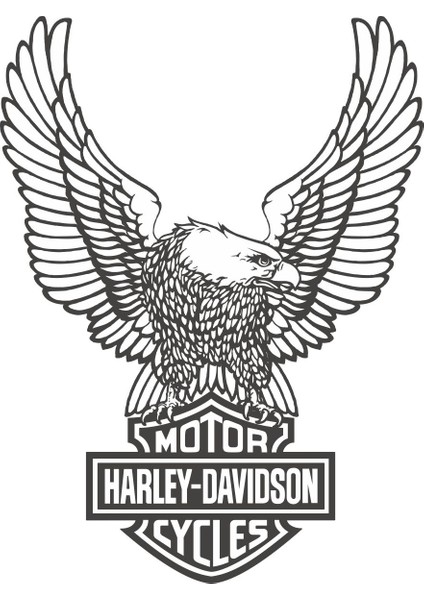 Sticker Fabrikası Harley Davidson Kartal Sticker 00315