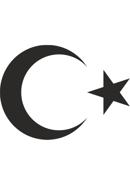 Türk Bayrağı Ay Yıldız 00323