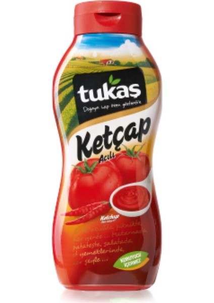 Acılı Ketçap 700 gr