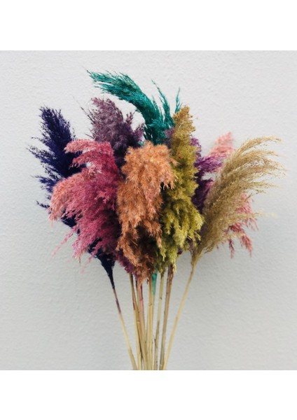 Karışık Pampas