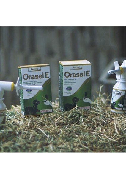 Orasel E 100 cc