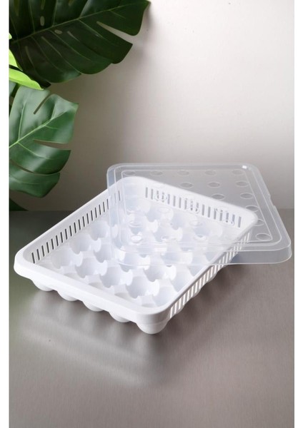 Deluxe'den 30 Lu Yumurta Saklama Kabı