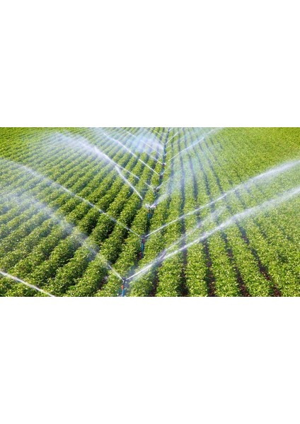 Kelebek Vana fiyatları