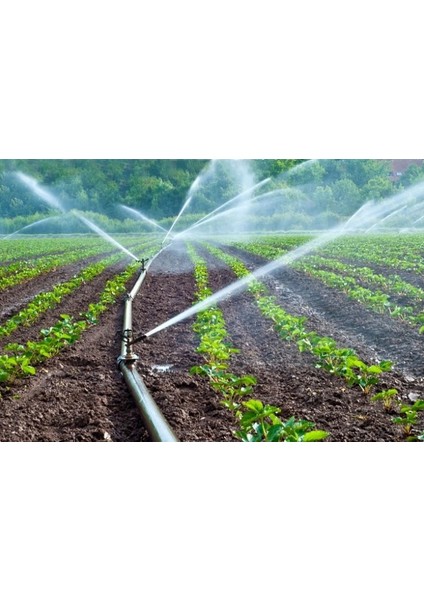 Kelebek Vana indirimleri