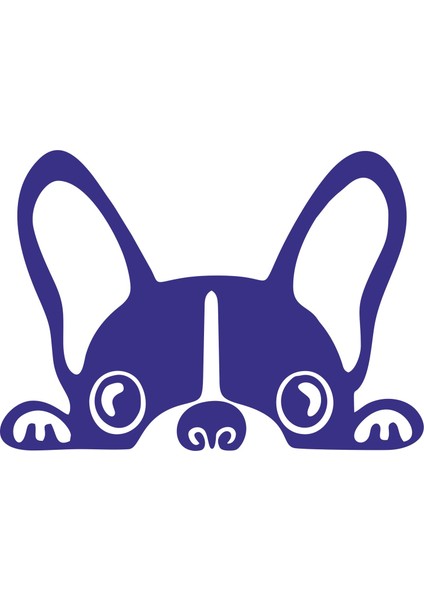 Araba Oto Bagajdan Bakan Köpek Göz Sticker 00429