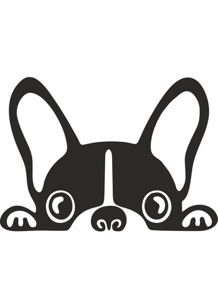 Araba Oto Bagajdan Bakan Köpek Göz Sticker 00429