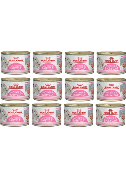 Royal Canin Mother&babycat Kedi Konservesi 195 gr (12 Adet)