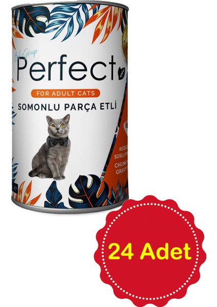 24'lü Perfect Yetişkin Kedi Parça Etli Soslu Somon Balıklı 400 gr