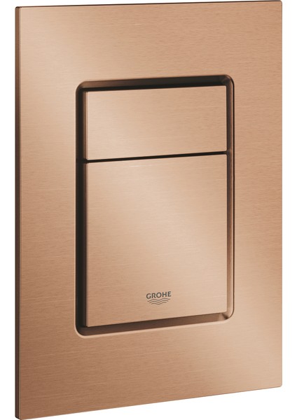 Skate Cosmopolitan S Kumanda Paneli 37535DL0