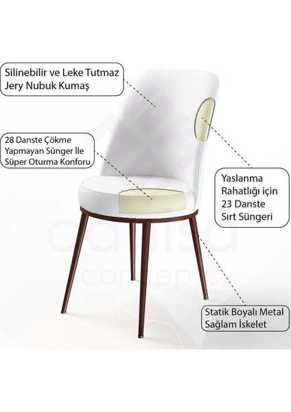 Concept Dexa Serisi Sandalye Mutfak Sandalyesi