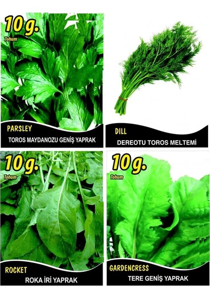 Yeşillik Tohum Seti (Maydanoz-Roka-Tere-Derotu)