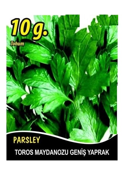 Yeşillik Tohum Seti (Maydanoz-Roka-Tere-Derotu) fiyatları