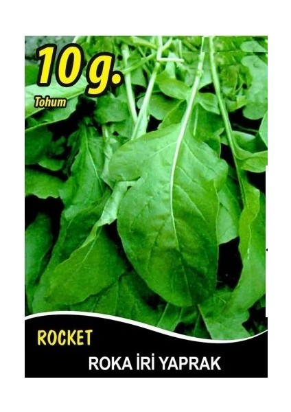 Yeşillik Tohum Seti (Maydanoz-Roka-Tere-Derotu) modelleri