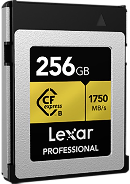 256GB Professional Cfexpress Type-B Hafıza Kartı