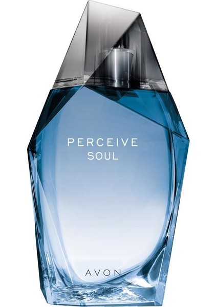 Perceive Soul Erkek Edt - 100 ml
