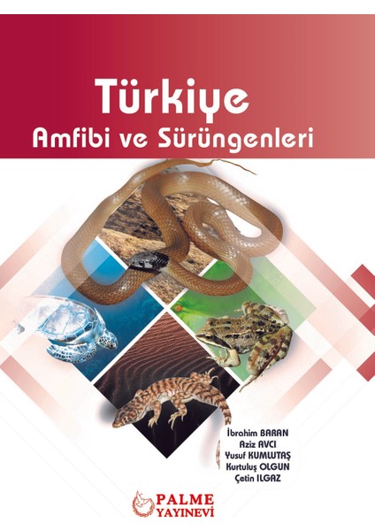 Türkiye Amfibi ve Sürüngenleri