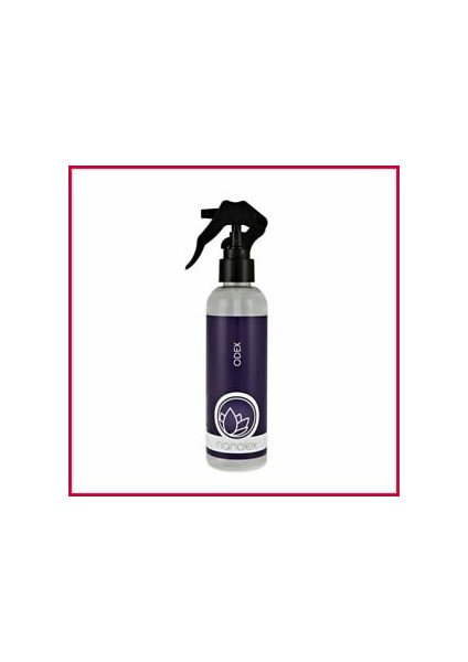 Odex 200ML – Araç Içi Koku Giderici
