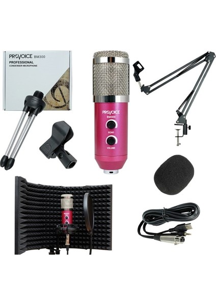 BM-300 Mikrofon + AS-21 Stand + Yalıtım Paneli + Pop Filtre PEMBE