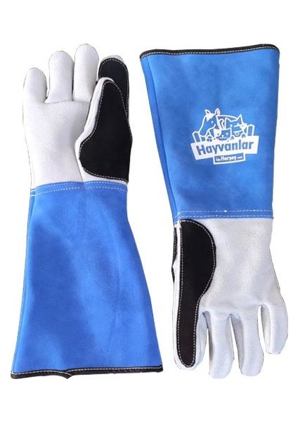 Deri Kedi Yakalama Eldiveni