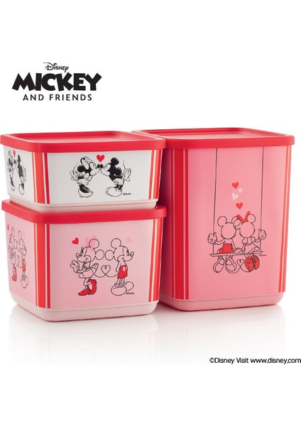 Minnie & Mickey Kare Saklama Kabı Set