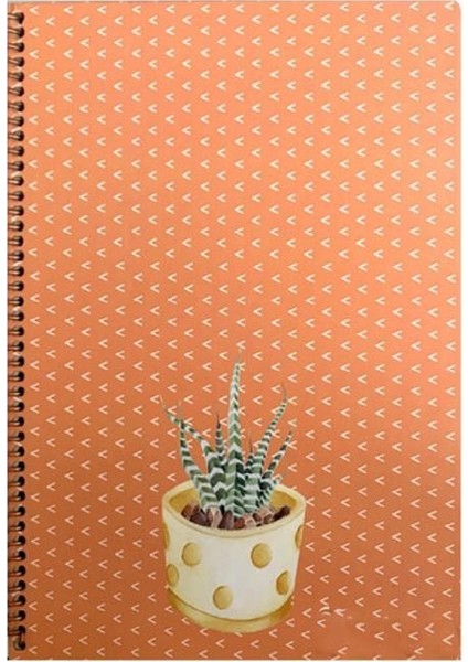Saguaro 100 Yaprak Kareli Spiralli Sert Kapak Defter 20 x 28 cm