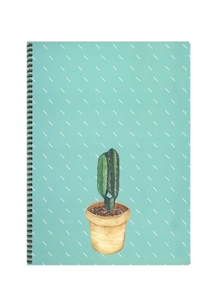 Saguaro 100 Yaprak Kareli Spiralli Sert Kapak Defter 20 x 28 cm