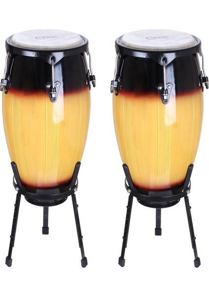 Ccs1-Sb Conga Seti - Sunburst