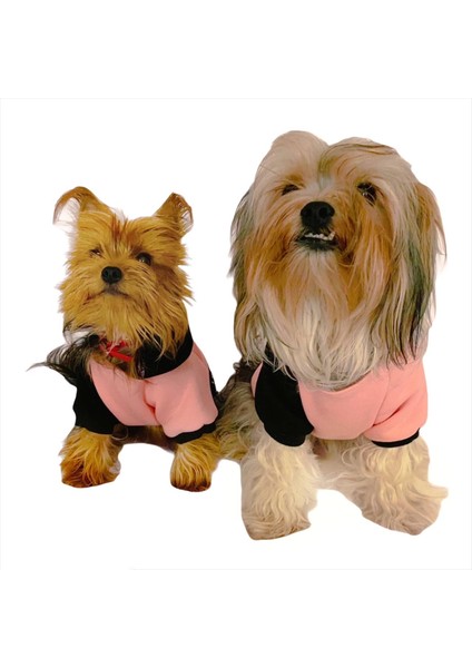 London Pineapple Kapşonlu Sweat By Kemique Köpek Kazağı XL