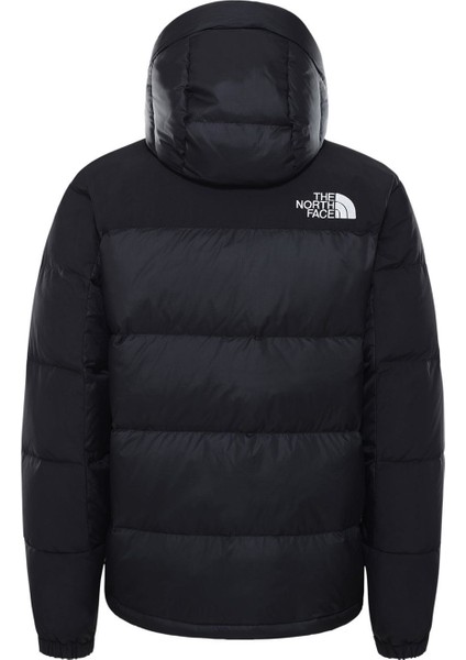 Erkek Hmlyn Down Parka NF0A4QYXJK31