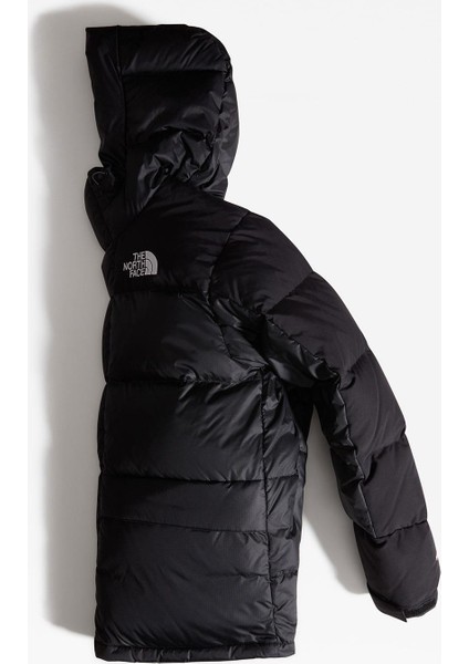Erkek Hmlyn Down Parka NF0A4QYXJK31