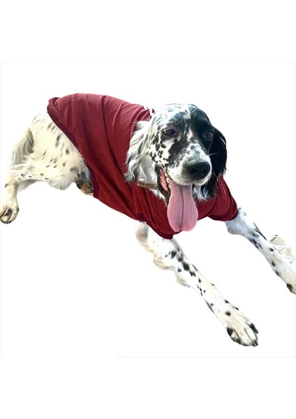 Bordo Tişört Büyük Köpekler Için
