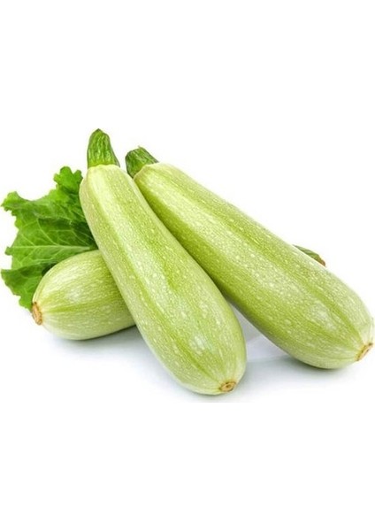 Yerli Beyaz Kabak Tohumu (Kolsuz) 10 gr (Ort 75 Ad Tohum)