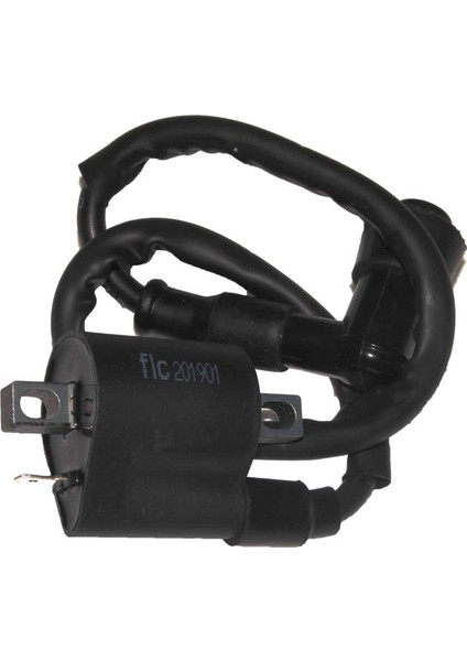 Falcon Cg Grubu Ateşleme Bobini & Buji Başlığı Orijinal