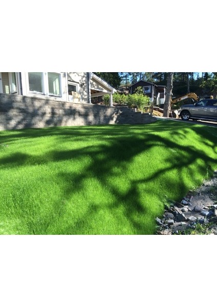 Bermuda 40m2 Turfquıck Tohum, Hazır Çim, Rulo Çim Ekim Kumaşı