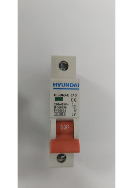 Sigorta 1x40Ah