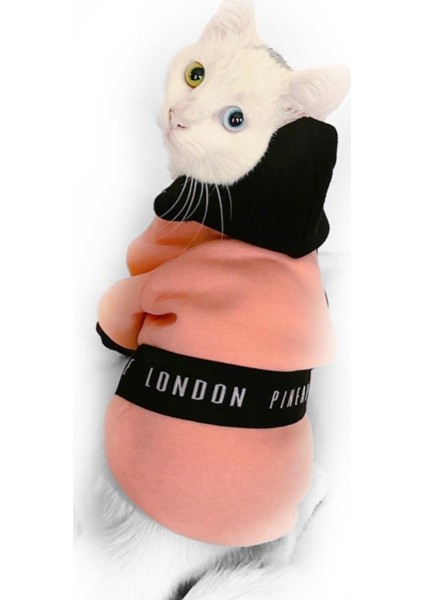 London Pineapple Kapsonlu Sweatshirt Kedi Süeteri Kedi Kıyafeti XL fırsatları