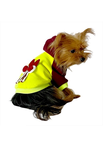 Bunny Bordo Fosfor Kapşonlu Sweat By Kemique Köpek Kazağı XL