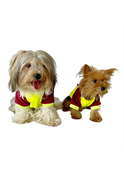 Bunny Bordo Fosfor Kapşonlu Sweat By Kemique Köpek Kazağı XL fiyatları