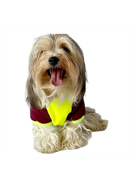 Bunny Bordo Fosfor Kapşonlu Sweat By Kemique Köpek Kazağı XL indirimleri
