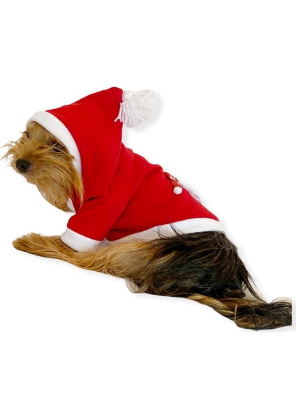 Santa Neo Kapşonlu Polar Noel Yılbaşı Köpek Kıyafeti L