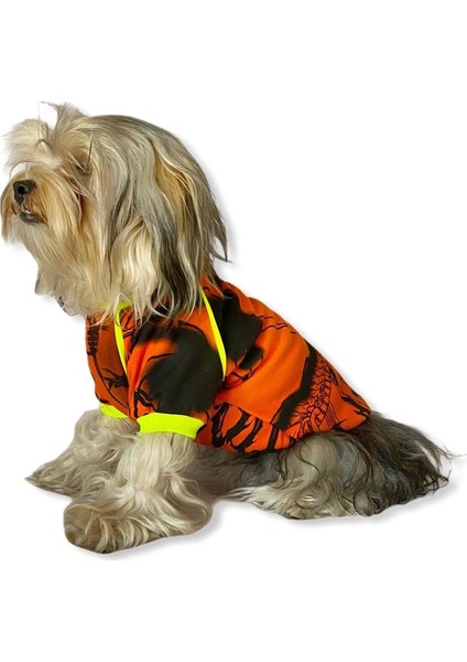 Orange Grafiti Sweat By Kemique Köpek Kazağı XL