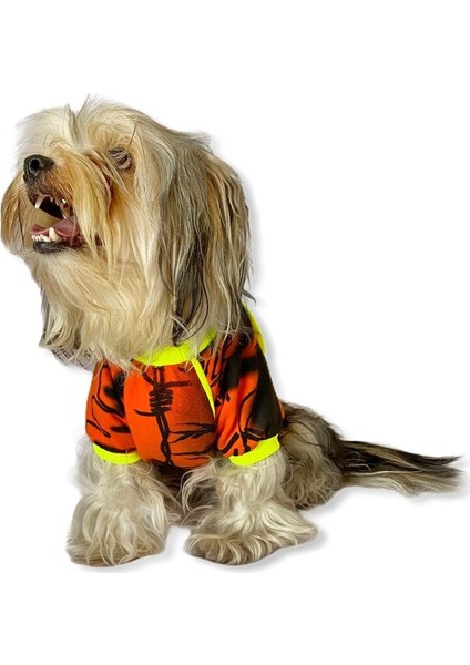 Orange Grafiti Sweat By Kemique Köpek Kazağı XL fiyatları