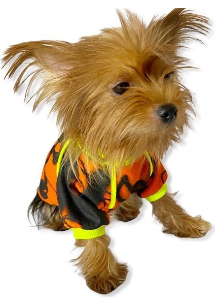 Orange Grafiti Sweat By Kemique Köpek Kazağı XL fırsatları