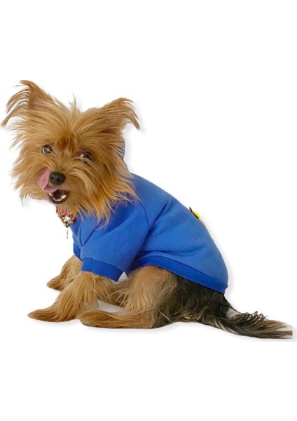 Athletique Arılı Köpek Süeteri Köpek Kıyafet Elbise S modelleri