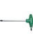 T Tıp Torx Allen Anah. T10 1