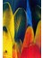 Kaymaz Dot Taban Yıkanabilir Dijital Baskı Modern Renkli Tüyler Salon Halısı 80 x 100 2