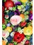 Kaymaz Dot Taban Yıkanabilir Dijital Baskı Gül Papatya Ve Sümbüller Salon Halısı 80 x 200 2