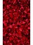 Kaymaz Dot Taban Yıkanabilir Dijital Baskı Gül Yaprakları Desenli Salon Halısı 180 x 280 2