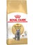 British Shorthair Kedi Maması 4 kg 1