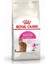 Exigent Kedi Maması 2 kg 1